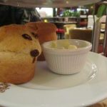 Caffe Concerto Scones Caffe Concerto Scones